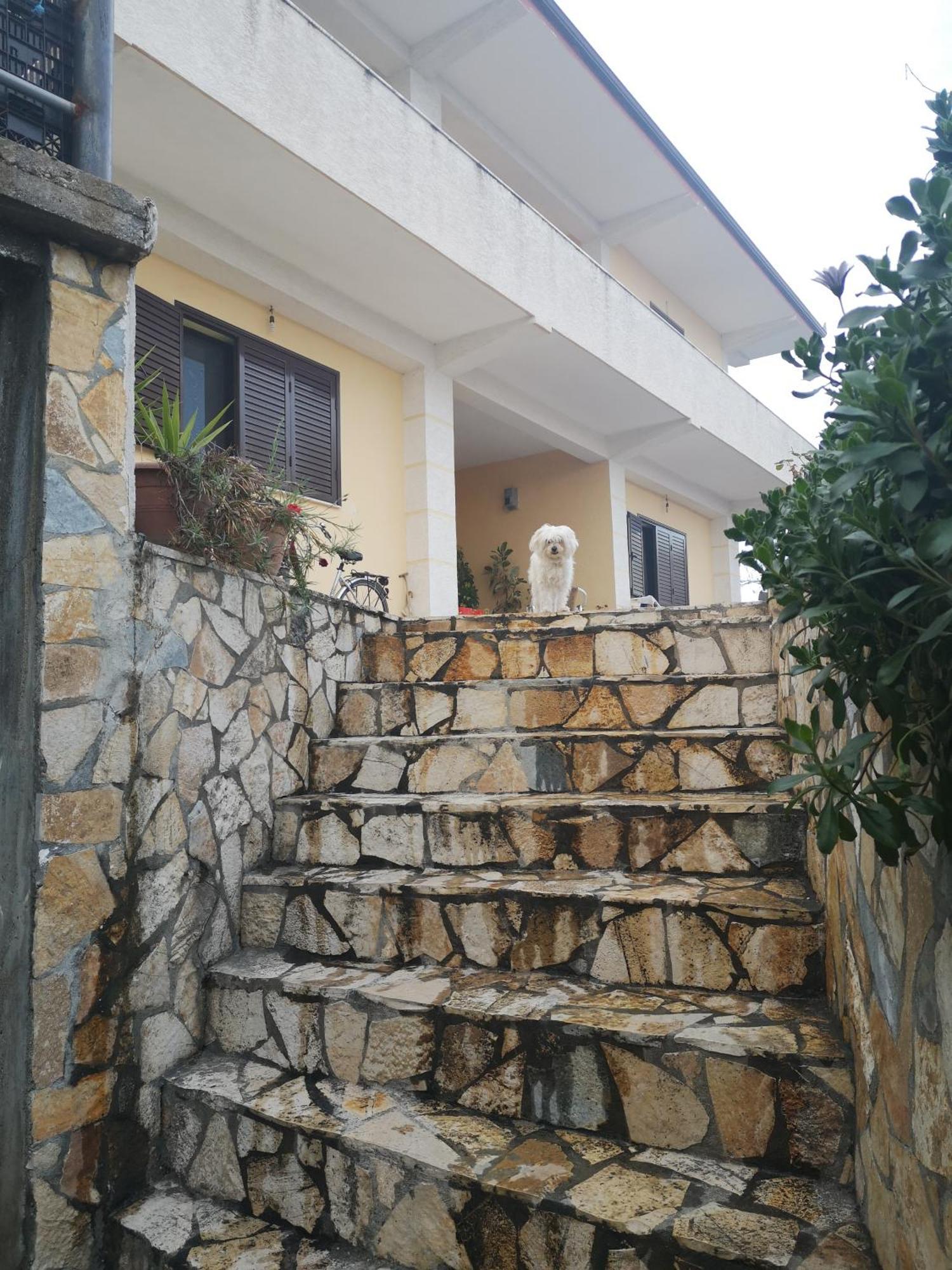 Private House Durres Villa Værelse billede